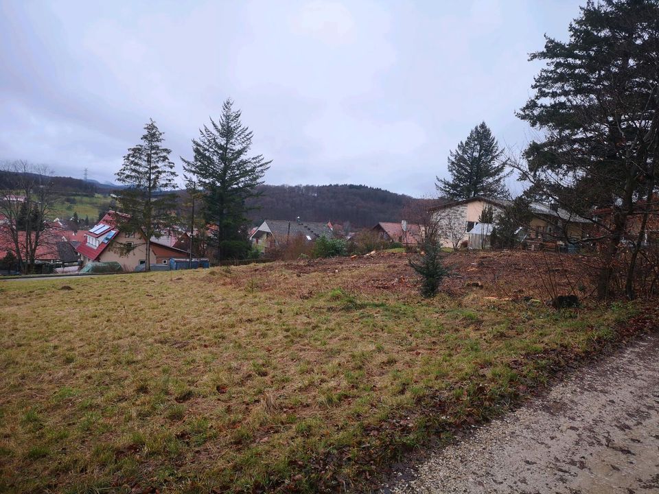 Tiny House Stellplatz zu verpachten in St. Johann