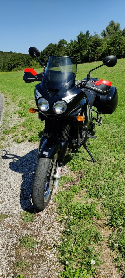 Triumph Tiger 955i in Hausham