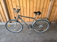 Aktive Bike Trekkingrad 28er Niedersachsen - Eschede Vorschau