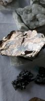 Glimmer Taquara Minas Gerais Brasilien Mineralien Sammlung Niedersachsen - Bad Zwischenahn Vorschau