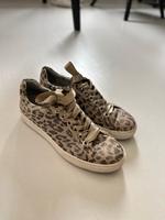 Maripe Schnürschuh, Sneaker, Gr. 38 Hamburg-Nord - Hamburg Langenhorn Vorschau