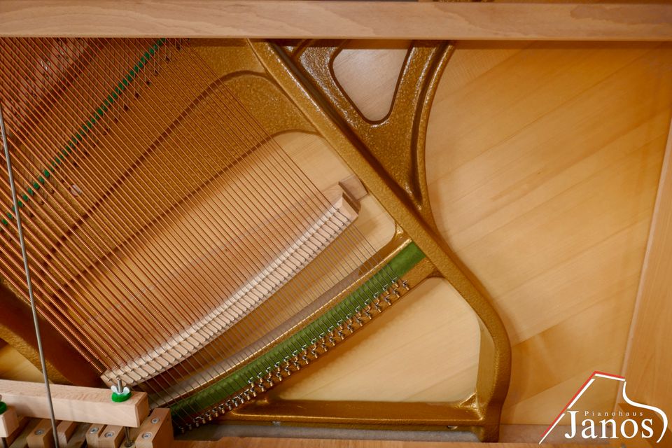 Zimmermann Klavier ✱ 116 cm ✱ Baujahr 2000 by C. Bechstein in Frankfurt am Main