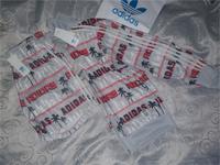 Adidas Firebird Anzug Miami Nigo Palm Jacke Shorts Tracksuit M Eimsbüttel - Hamburg Eidelstedt Vorschau