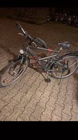 Fahrrad Damen und Herren Hessen - Steinbach Vorschau