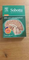 Sobotta - Spielend durch die Anatomie - ZNS und Leitungsbahnen Brandenburg - Bad Belzig Vorschau