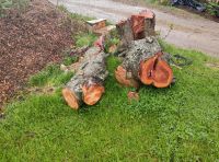 Drechsel Holz Kirschbaum Sachsen - Oederan Vorschau