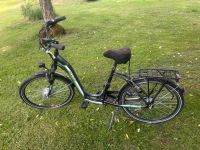 Prophete E-Bike Fahrrad Ebike Elektrofahrrad Rheinland-Pfalz - Kordel Vorschau