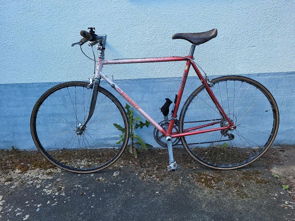 Schauff Velo Vintage Rennrad 12 Gang Shimano 300EX in Garbsen