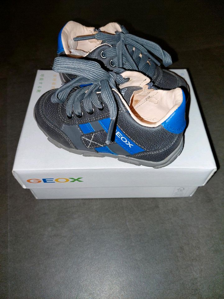 Neue Sneaker Geox Gr. 23 in Siegenburg