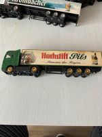 Werbe Modelltruck Hessen - Schlitz Vorschau