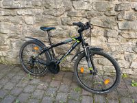 24 Zoll Fahrräder Thüringen - Erfurt Vorschau