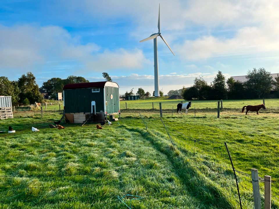 Bauernhof Nordsee Tiere Ponys Ferienwohnung Nessmersiel in Dornum