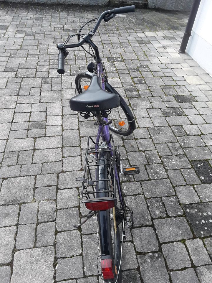 Herren Fahrrad Rixe in Kammeltal