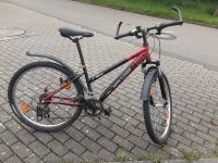 26 Zoll Fahrrad Baden-Württemberg - Boxberg Vorschau