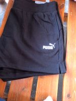 Puma Sport Short ✨✨ neu, Damen , Freizeit Bayern - Auerbach in der Oberpfalz Vorschau