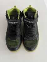 Geox Jungen Schuhe Gr. 36 Rheinland-Pfalz - Boppard Vorschau