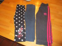 3 Hosen Jogging Leggins Gr 92 Stop + Go , Minnie Maus Bayern - Neustadt a.d.Donau Vorschau