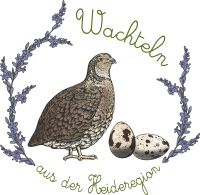 Wachtelküken Schlupf ab 15.5 Jap. Legewachteln Niedersachsen - Amelinghausen Vorschau
