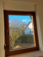 Verschiedene Echtholzfenster 2fach, Alubeplankung Thüringen - Gera Vorschau