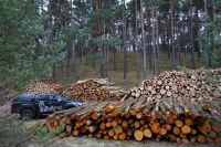 Brennholz und Kaminholz Brandenburg - Oderberg (Mark) Vorschau