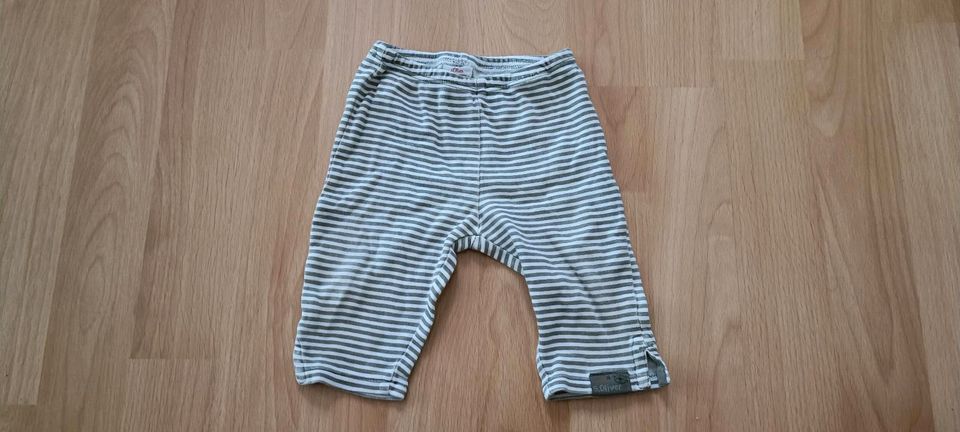 Hose Leggins Baumwolle Baby S. Oliver neu in Düsseldorf