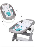 Hauck Babywippe Alpha Bouncer 2in1 Brandenburg - Wusterwitz Vorschau