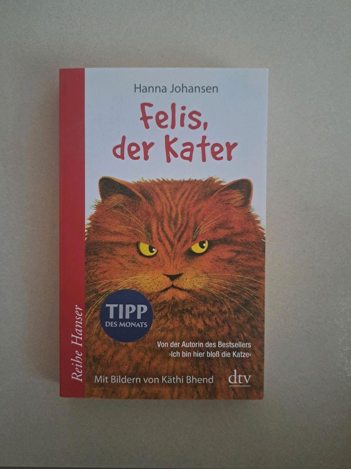 Buch "Felis, der Kater" von Hanna Johansen in Büren