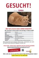 VERMISST! KATZE FINDERLOHN Bayern - Jettingen-Scheppach Vorschau