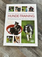 Buch Lernbuch Hunde-Training Ratgeber Hundeschule Schleswig-Holstein - Flensburg Vorschau