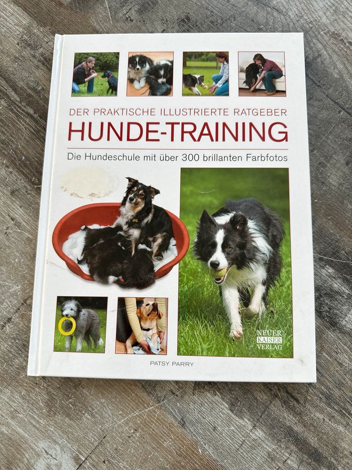 Buch Lernbuch Hunde-Training Ratgeber Hundeschule in Flensburg
