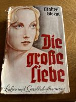 Roman 1935 Die große Liebe Buch Walter Bloem Sachsen - Bannewitz Vorschau