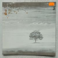 Genesis - Wind and wuthering - LP Vinyl Original von 1976 Rheinland-Pfalz - Rengsdorf Vorschau