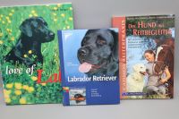 3x Hunde Sach Buch Labrador Bildband Reitbegleithund ab Niedersachsen - Rosengarten Vorschau