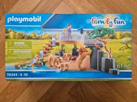 Playmobil Figures 70978 und Löwen 70343 Obergiesing-Fasangarten - Obergiesing Vorschau