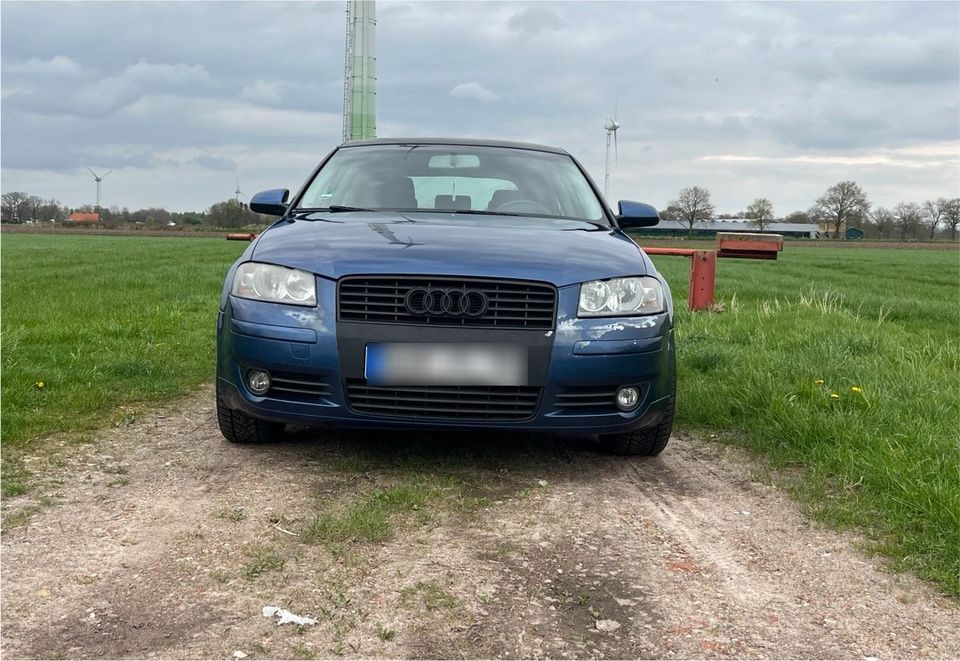 Audi A3 8P 2.0 TDI in Südbrookmerland