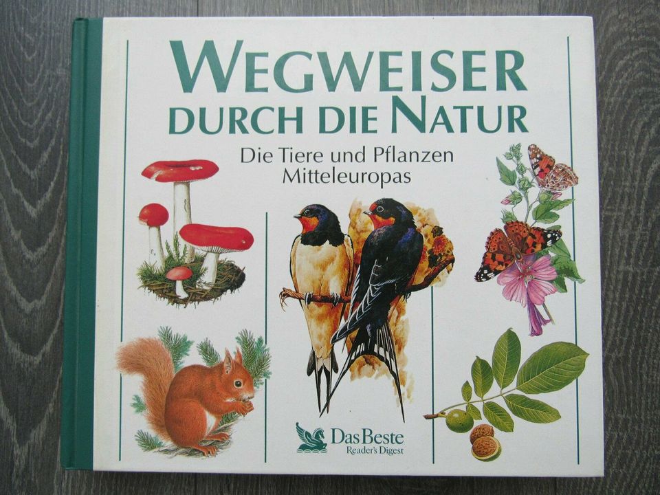 Buch "Wegweiser durch die Natur" in Baden-Württemberg - Wimsheim | eBay  Kleinanzeigen ist jetzt Kleinanzeigen