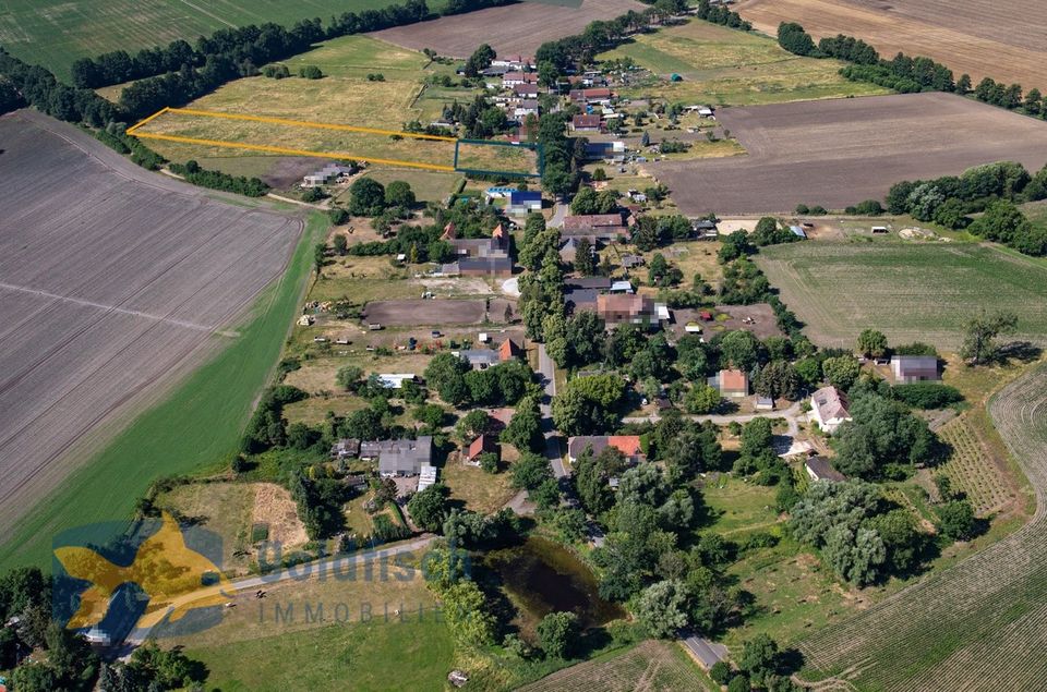 Großzügiges freies Baugrundstück in Golßen