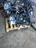 MOTOR 204DTD EVOQUE LAND ROVER JAGUAR 21tkm 180ps 204DTD Berlin - Spandau Vorschau