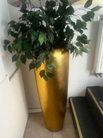 Blickfang! großer goldener Pflanzkübel inkl. Kunstpflanze Ficus Baden-Württemberg - Aalen Vorschau