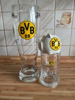 BVB Borussia Dortmund Biergläser und Sparschwein komplett Nordrhein-Westfalen - Hamm Vorschau