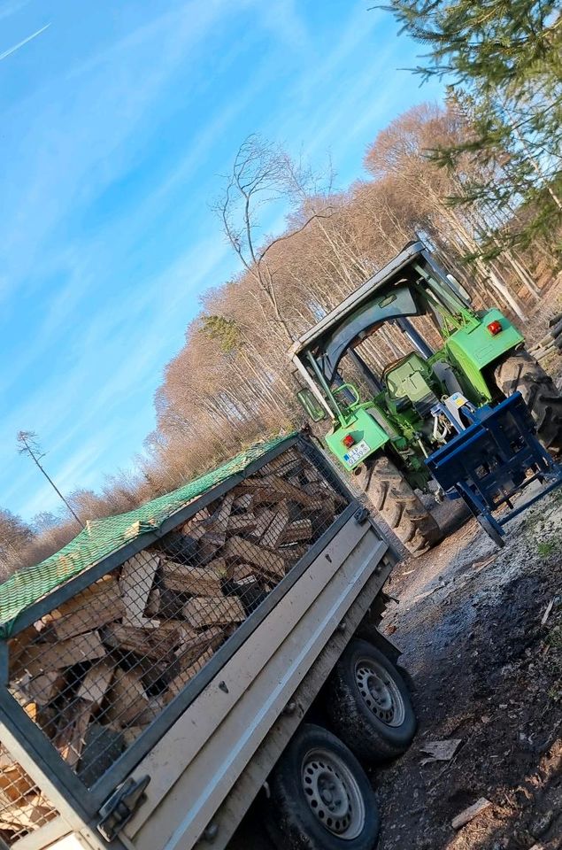 Brennholz,  Kaminholz, Fichte,  trocken, Wunschlänge in Kalletal