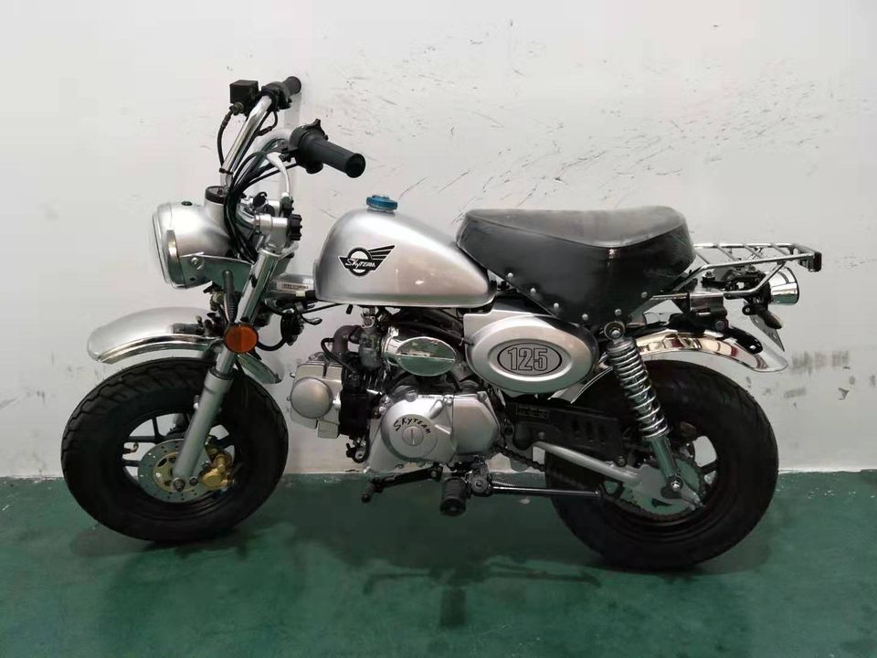 Skyteam Skymini Monkey 125cc Euro 5 Einspritzer in Schöneck