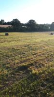 Stroh, Heu und Silo Rundballen Sachsen - Eppendorf Vorschau