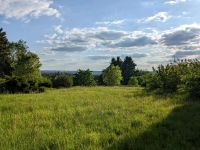 Garten Grundstück Graupa zu verpachten Sachsen - Pirna Vorschau