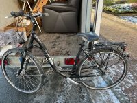 KTM Damenrad Fahrrad mit Nabendynamo Nr.267 Bielefeld - Bielefeld (Innenstadt) Vorschau