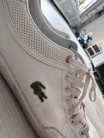 Lacoste, Herren, Sneaker Eimsbüttel - Hamburg Eidelstedt Vorschau