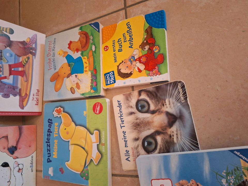 Kinderbücher Konvolut (Baby-4 Jahre) in Nieder-Olm