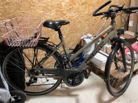 Fahrrad Unisex Damen 28 Zoll Trekking City Baden-Württemberg - Achberg Vorschau