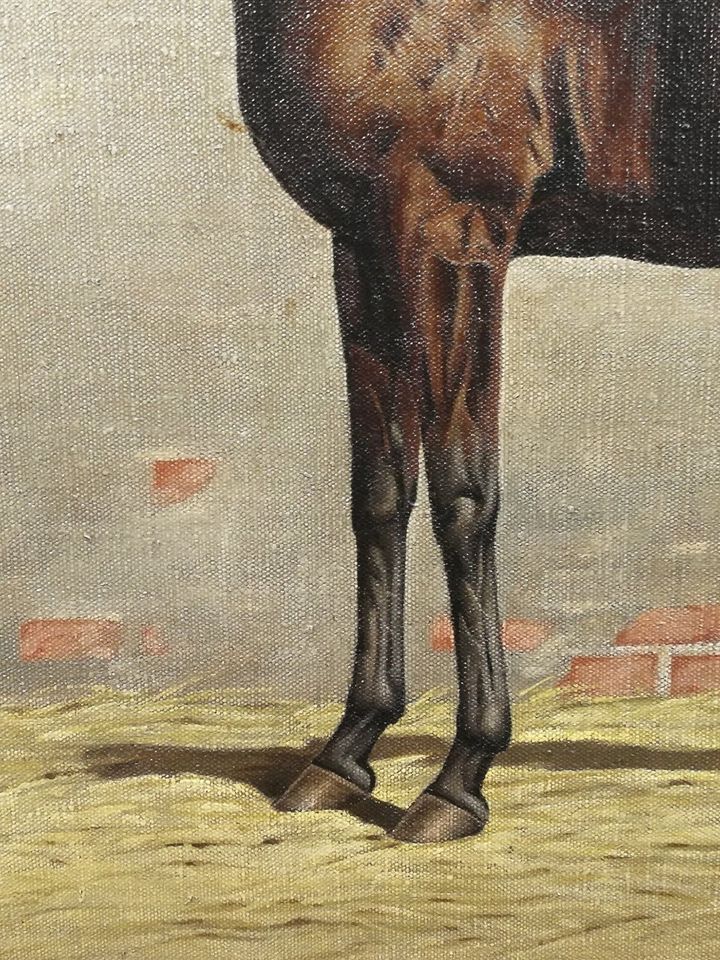 Museales Gemälde Paar Pferde Portraits Königl. Gestüt 19./20.Jh. in Erfurt