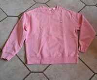 Levis Damen Sweatshirt Gr S, rosa, neuwertig Brandenburg - Löwenberger Land Vorschau